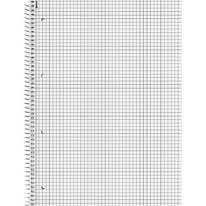 BR CAIET A4 80F SPIRA SI PERFORATII ROSU TULIP PATRATELE 67928125 [2]