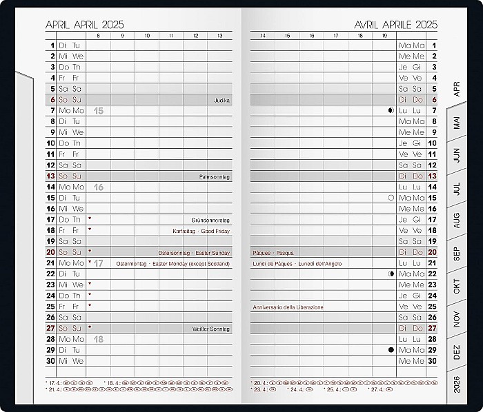 BR AGENDA DATATA LUNAR ARTISTICO 9*15CM 2025 ARGINTIU 75128925 [2]