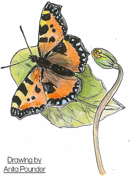 LEG LINER UNI PIN 0.4MM L52 NEGRU [3]