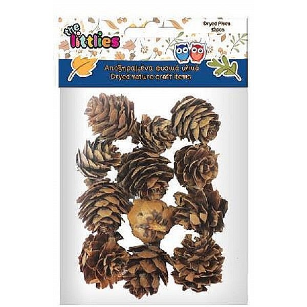 DIA CON PIN DECOR 12/SET THE LITTLIES 4620173 [1]