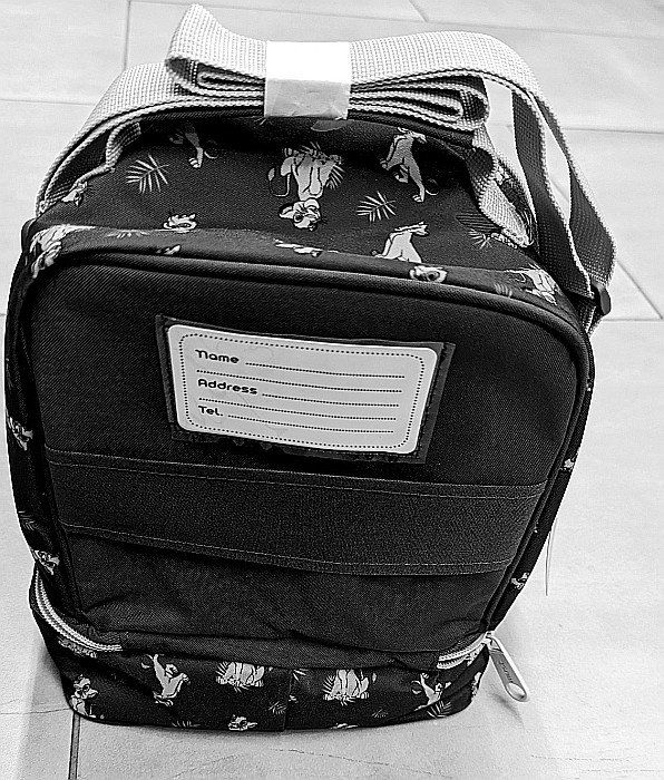 DIA GEANTA IZOTERMA MUST 24*12*20CM PLAY MORE 584712- promo [2]