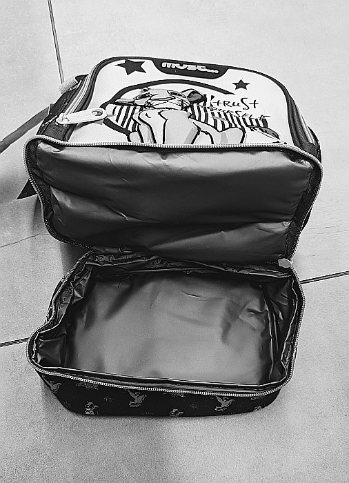 DIA GEANTA IZOTERMA MUST 24*12*20CM FOOTBALL 584714- promo [3]