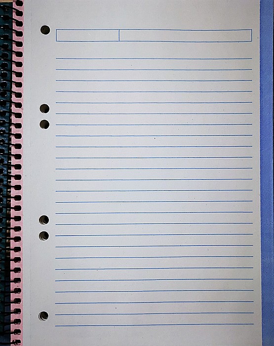 AM CAIET A5 100F SPIRA LINII HARD COVER KRAFT 207871 [7]