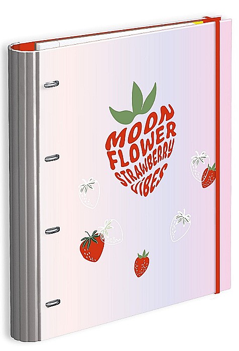 AM CAIET MECANIC A4 TEEN MOON 4 INELE, ELASTIC, REZERVA LINII, SEPARATOARE CARTON 228708 [3]