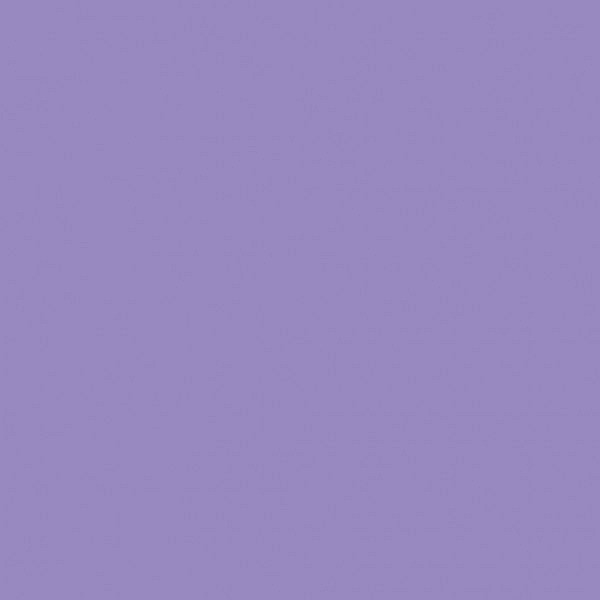 CC PLASTILINA MATASOASA 79107 40G MOV [2]