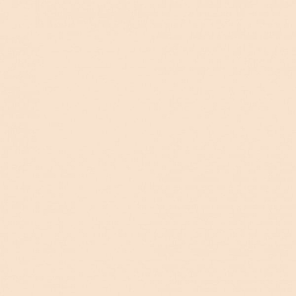 CC PLASTILINA MATASOASA 79111 40G NUDE [2]