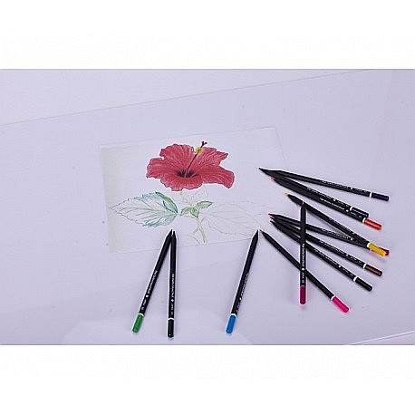 AS CREIOANE COLORATE 12/SET + ASCUTITOARE ASTRA 312114001 [3]