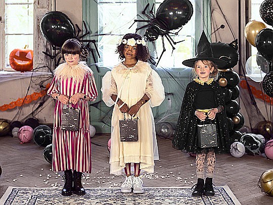 PD CORONITA FLORI ALBE, 17cm WIAN1-008 [4]