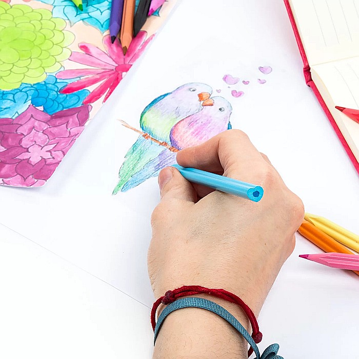 DE CREIOANE COLORATE 12/SET FORMA INIMA KIDEA KS12KKA [2]