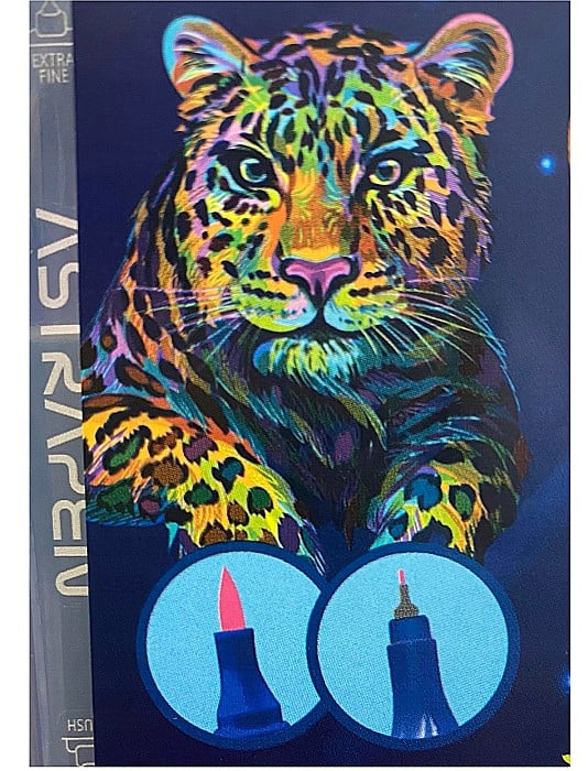 AS MARKERE TRIUNGHIULARE 2 CAPETE VF.PENSULA si VF.FIN 36 CULORI/SET PASTEL 207023905 [2]