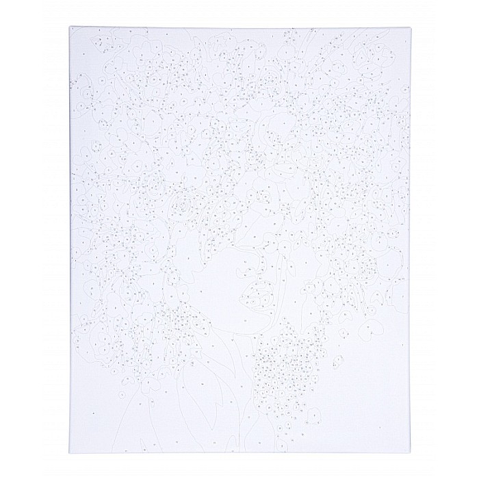 AS PANZA PICTURA PE NUMERE 40*50CM CU VOPSELE SI PENSULE, PORTRET IN FLORI 801022904 [6]