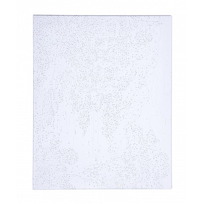 AS PANZA PICTURA PE NUMERE 40*50CM CU VOPSELE SI PENSULE, SARBATORI ITALIENE 801022907 [5]