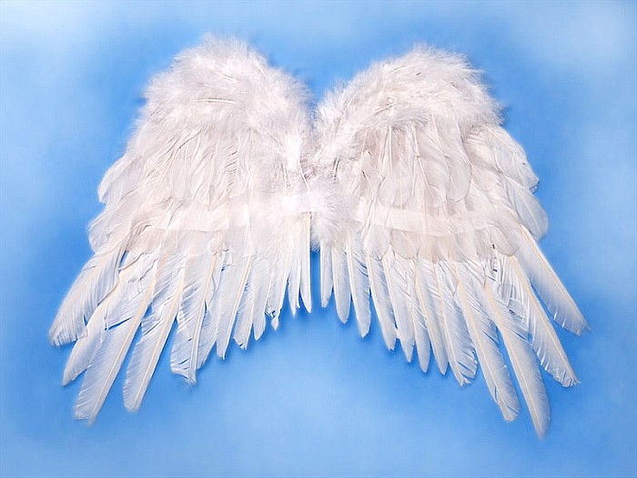PD ARIPI, Angel's wings, white, 53 x 37cm SK1-008 [2]