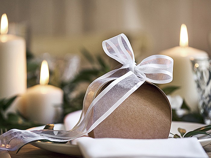 PD BANDA CHIFFON Ribbon chiffon, white, 25mm/25m TSZB25-008 [7]