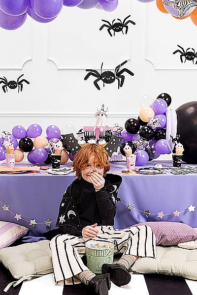 PD DECORATIUNI DIN HARTIE, Paper decoration Spiders, 27x17cm, black 5/set DNT10 [5]