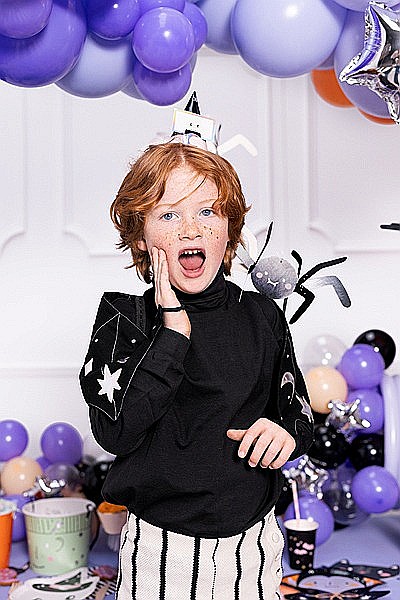 PD DECORATIUNI DIN HARTIE, Paper decoration Spiders, 27x17cm, black 5/set DNT10 [7]