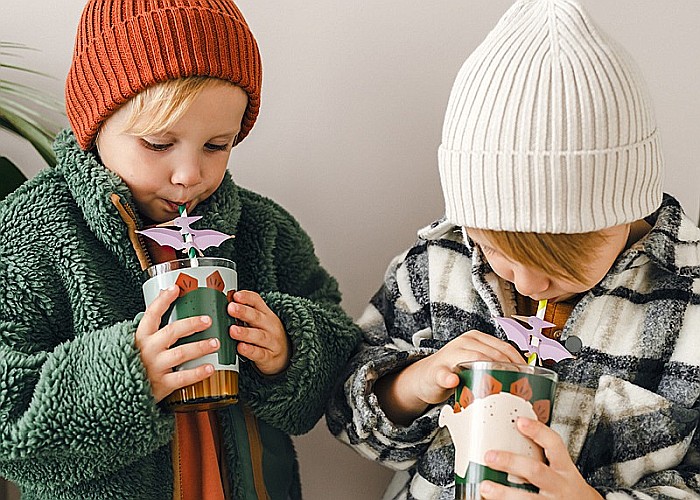 PD PAIE DIN HARTIE PENTRU BAUTURI Pterodactyl, 19.5cm 6/set NSL1 [4]