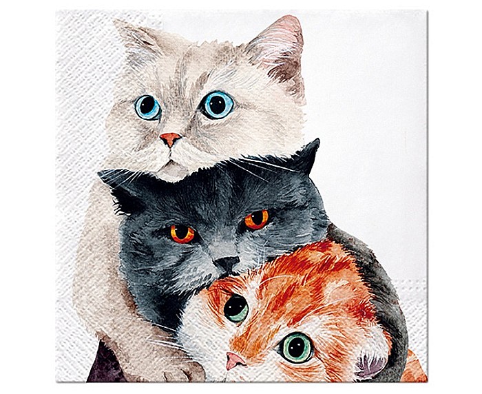 GOD SERVETELE PAW 33*33CM 20/SET BETTER TOGETHER SDL131500 [1]