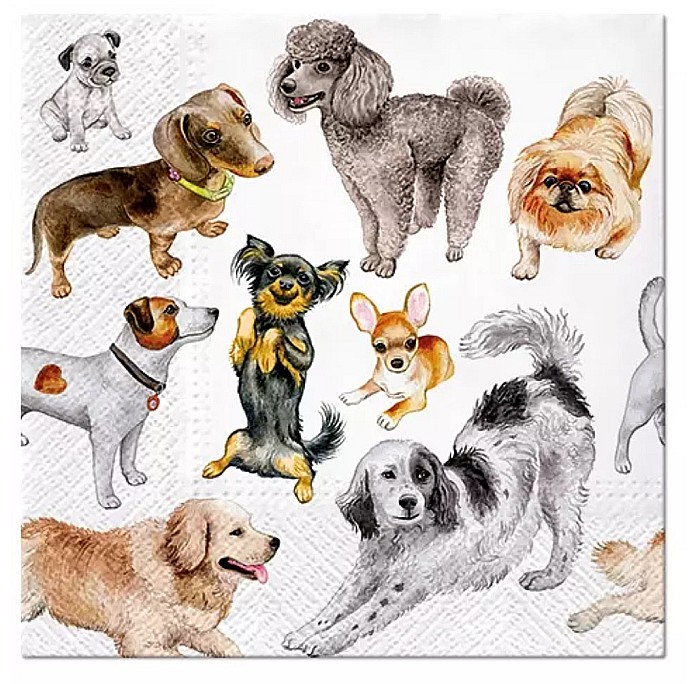 GOD SERVETELE PAW 33*33CM 20/SET DOGS HAPPINESS SDL132600 [1]