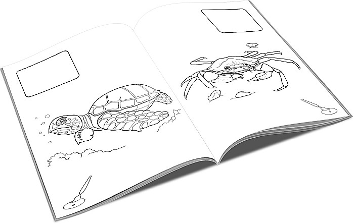 UP CARTE COLORAT A4 LIPIM SI COLORAM ANIMALE MARINE [2]