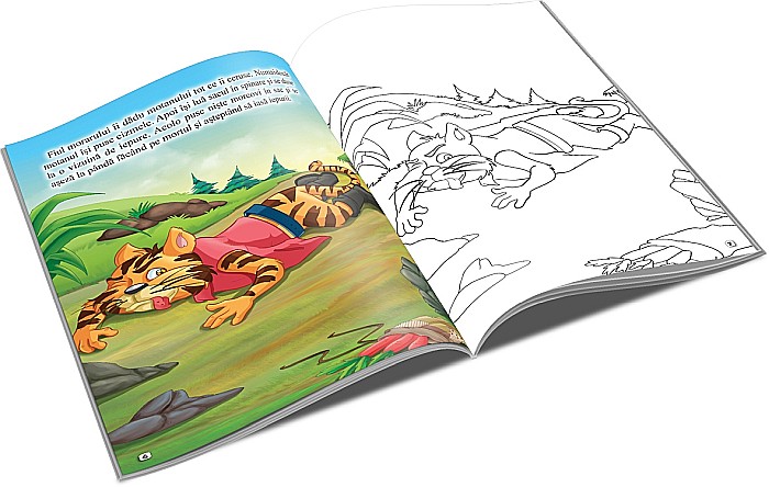 UP CARTE COLORAT A4  MOTANUL INCALTAT [2]