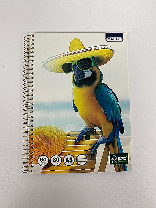 PA CAIET A5 80F PATRATELE SPIRA 60G 24000155 [2]