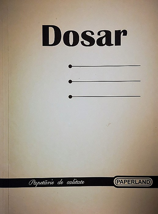 PA DOSAR SINA CARTON 250g/mp ROZ 22000118 [5]