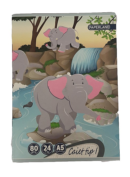 PA CAIET TIP I A5 24F 80GR  24000196 [5]