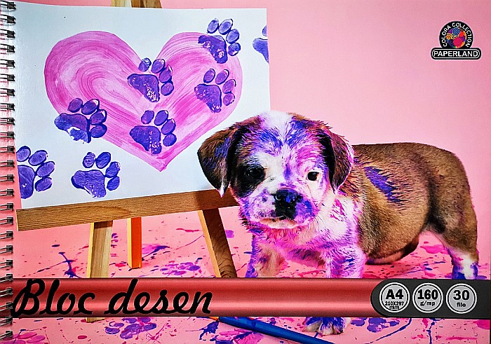 PA BLOC DESEN SPIRA A4 160G 30F 24000282 N [3]