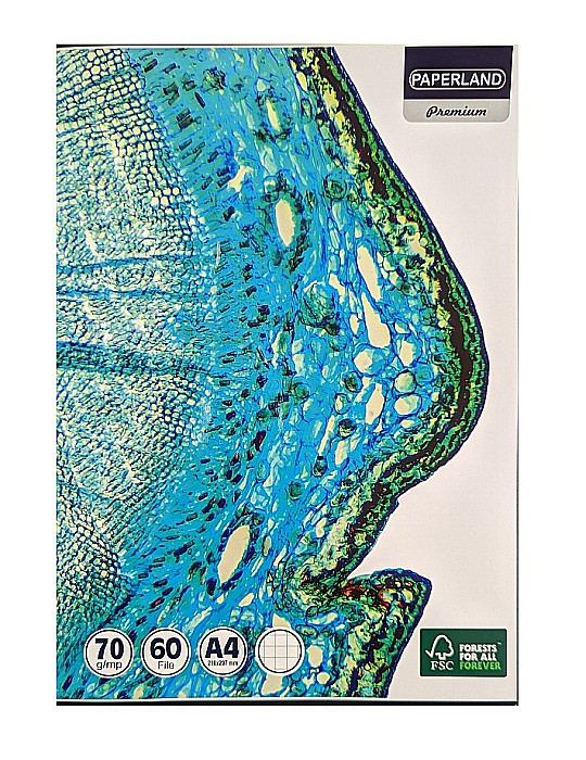 PA CAIET A4 60 FILE 70g PATRATELE PREMIUM 24800005 [1]