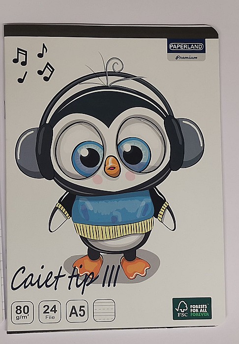 PA CAIET TIP III A5 24F 80G  24000198 [2]