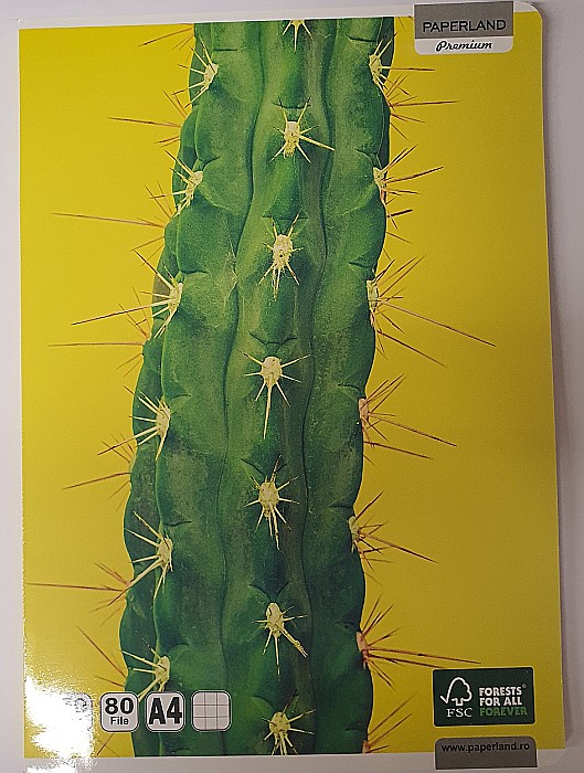 PA CAIET A4 80F 70GR PATRATELE 24800009 [3]