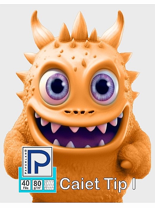 PA CAIET TIP I A5 40F 80GR  24000431 [2]