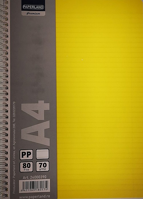 PA CAIET A4 80F LINII SPIRA PP 24000390 [2]