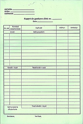 GOL RAPORT GESTIUNE ZILNIC AUTOCOPIATIV A4 [3]