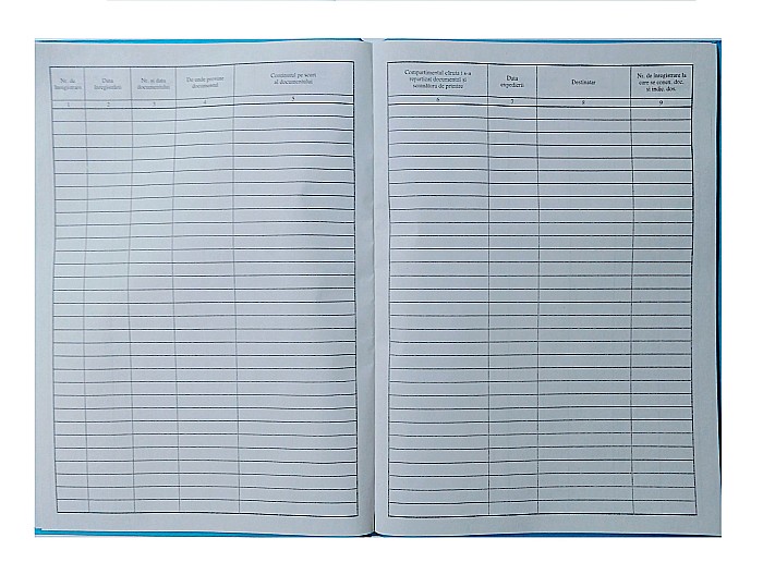 GOL REGISTRU INTRARE IESIRE VERTICAL A4 tp000050 [2]