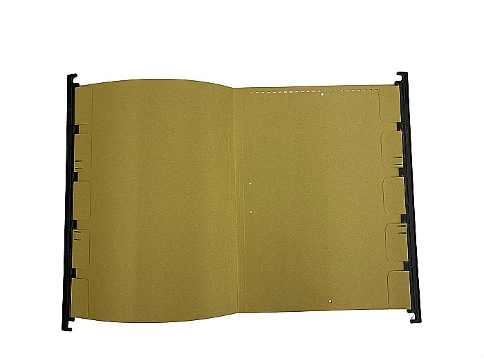 PA DOSAR CARTON SUSPENDAT 12200006 [2]