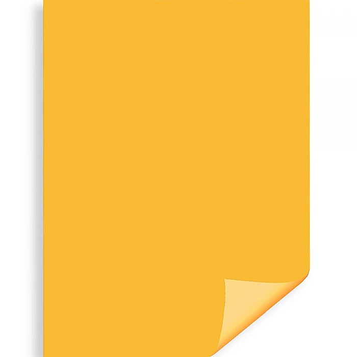 CARTON COLOR IPB 50*70CM 200GR GALBEN INCHIS PN431 [1]