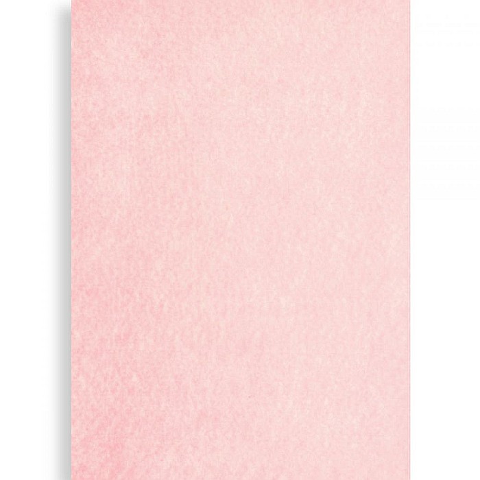 PASLA IPB 40*60CM 1MM ROZ DESCHIS PN663 [1]