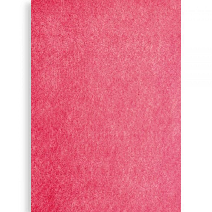 PASLA IPB 40*60CM 1MM CORAL PN671 [1]