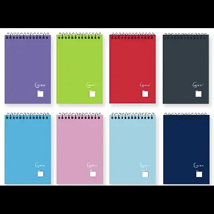 NOTES PP IPB 105*155MM VERTICAL SPIRA 50F VELIN CULORI ASORTATE PB226 [1]
