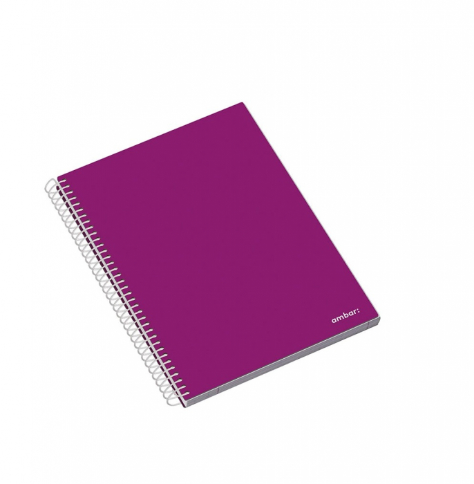 AM CAIET A5 100F SPIRA 5 SUBIECTE AMBAR SCHOOL LINII/PATRATELE 163504 [6]