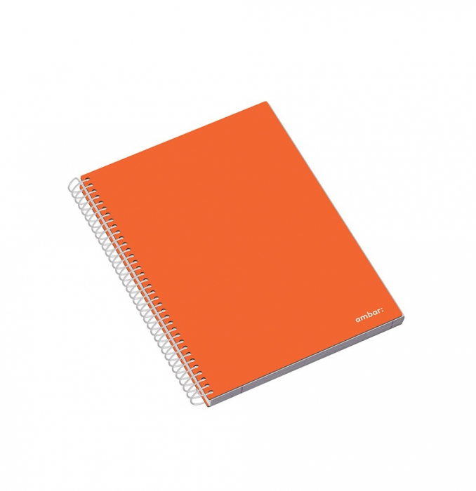 AM CAIET A5 100F SPIRA 5 SUBIECTE AMBAR SCHOOL LINII/PATRATELE 163504 [5]