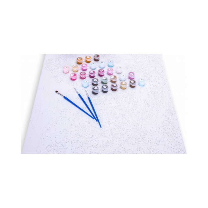 PANZA NEAGRA PICTURA PE NUMERE 40*50CM CU VOPSELE SI PENSULE, MUZA AURIE 801025910 [4]