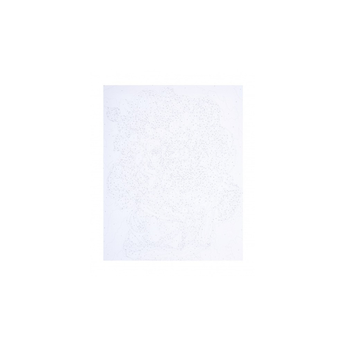 PANZA PICTURA PE NUMERE 40*50CM CU VOPSELE SI PENSULE, BUJORI 801022906 [2]