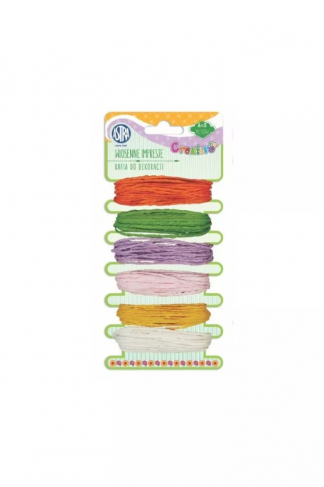 AS SNUR RAFIE COLOR 6/SET*5M 335118002 [1]