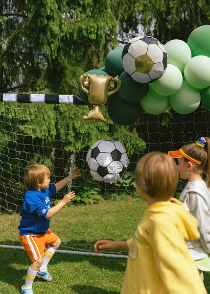 Balon Folie Ghirlandă Trophy with Balls 4buc FB301 [2]