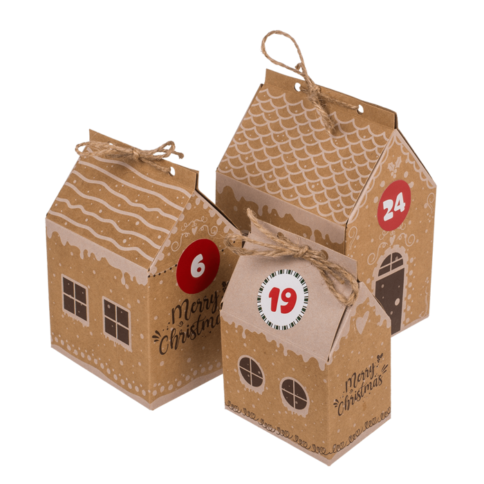 CALENDAR ADVENT CRACIUN DIY 1-24, CU CASUTE CARTON 160088 [7]