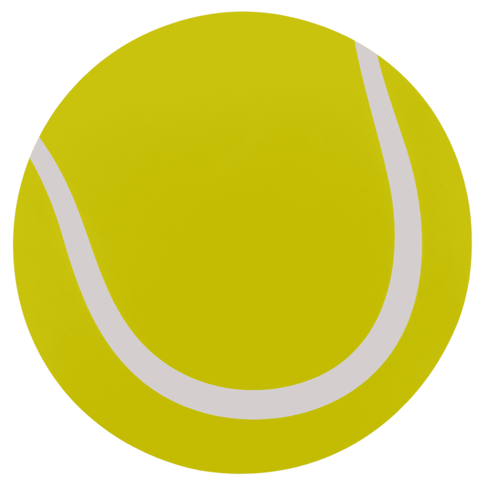 BLU MAPA BIROU PP 39CM SPORT BALLS 71/3429 [3]