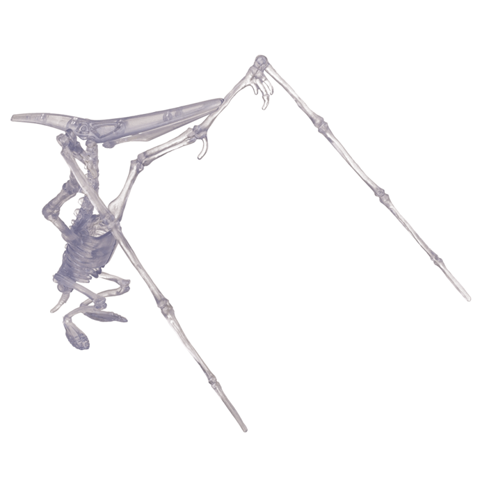 BLU MINI KIT ASAMBLARE SCHELET DE DINOZAUR 10CM GLOW IN THE DARK 59/2194 [7]